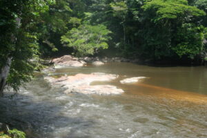 Saut Léodate sur le Fleuve Kourou