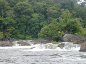 CAFE SOKA sur l'Oyapock