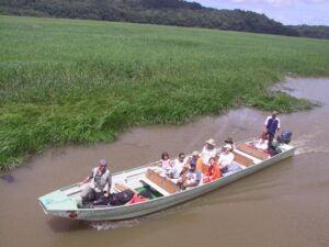 pirogue  marais de Kaw